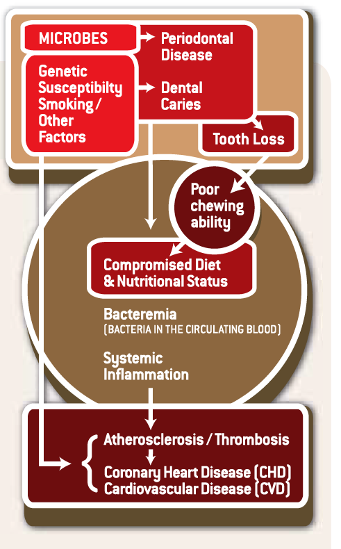 Risk for Cardiovascular Disease2